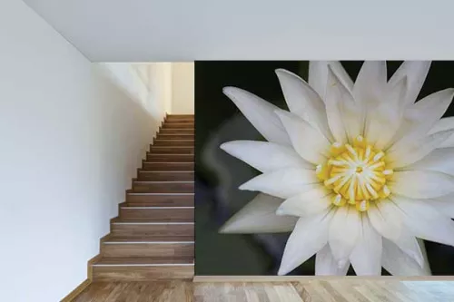 Papier peint original décor Fleur Lotus du Nil
