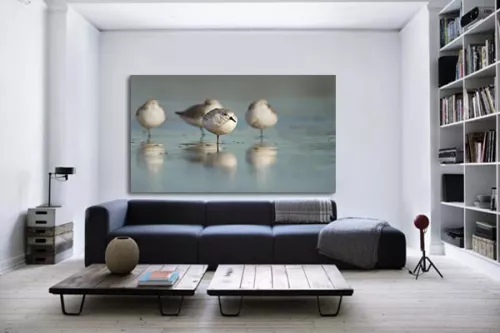 decoration salon tableau photo oiseaux