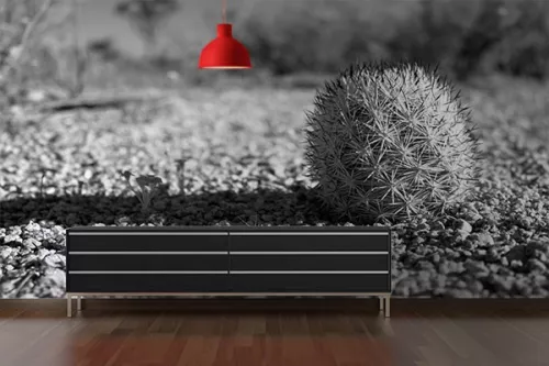 deco salon original poster cactus noir et blanc