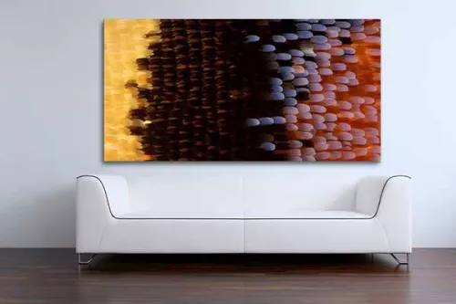 deco mur contemporain ailes papillon