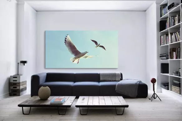 Tableau décoration Envol