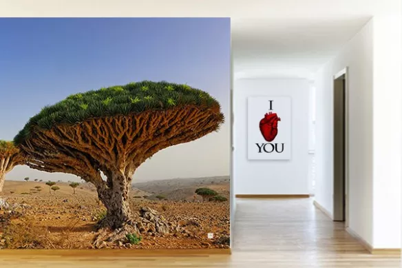 poster geant Savane