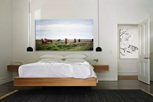 Tableau déco Chevaux en Liberté
