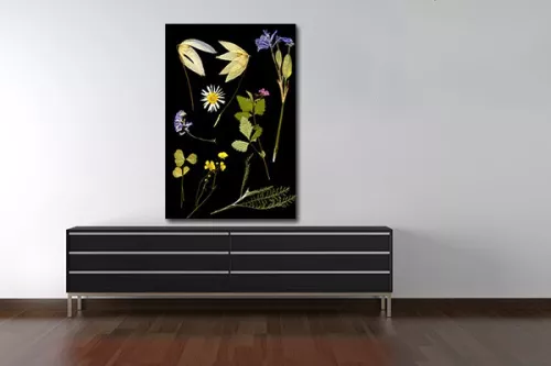 Tableau design Herbier
