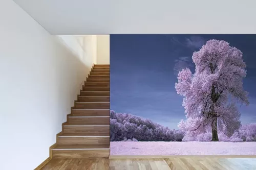 Poster mural déco Poussière de cerisiers