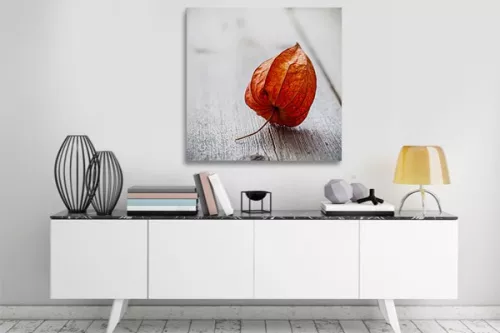 Tableau déco Physalis