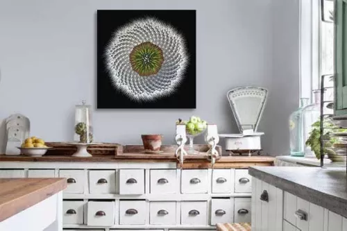 Tableau design Pissenlit Rosace