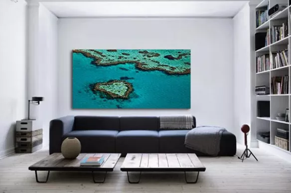 corail fome de Coeur