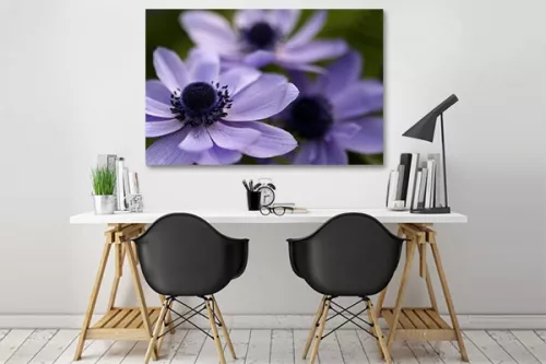 Tableau deco Fleurs des champs 