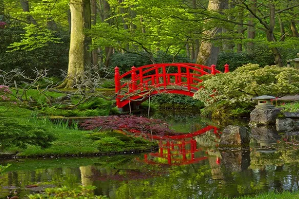 Jardin japonais