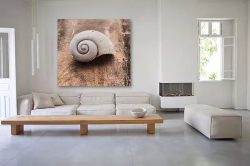 Tableau déco Nautilus shell
