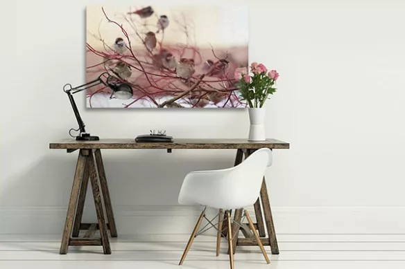 Tableau déco Petits oiseaux