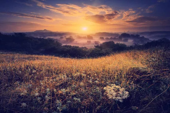 Campagne Ukraine