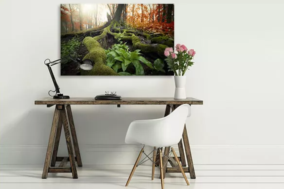 tableau zen racines sous bois