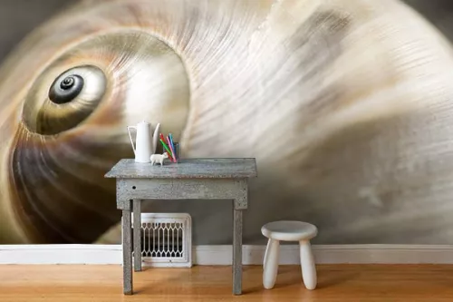 Papier peint chambre Escargot tout chaud