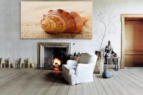 Toile zen Nassarius