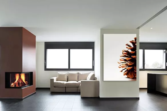 Tableau contemporain Cône Botanique