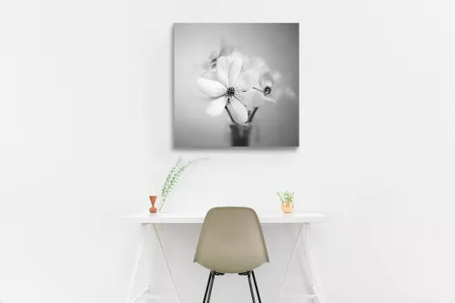 Toile imprimée Fleurs d'Intérieur