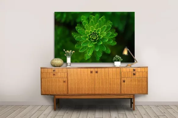 Tableau contemporain Focus Vert