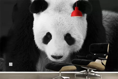 Papier peint design noir et blanc Panda