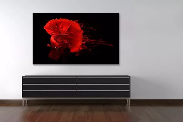 Tableau design poisson encre rouge