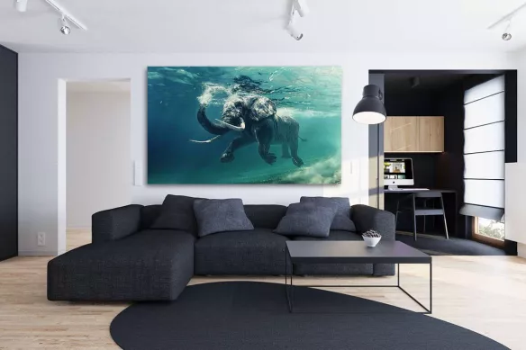 Tableau design éléphant marin