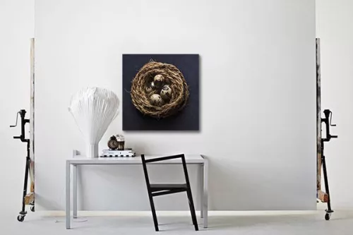 Tableau zen Nid d’amour