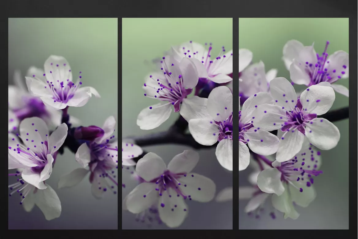 Tableaux Fleurs triptyque