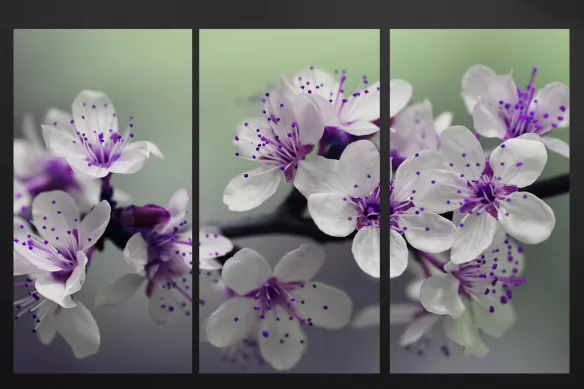 Triptyque Fleurs