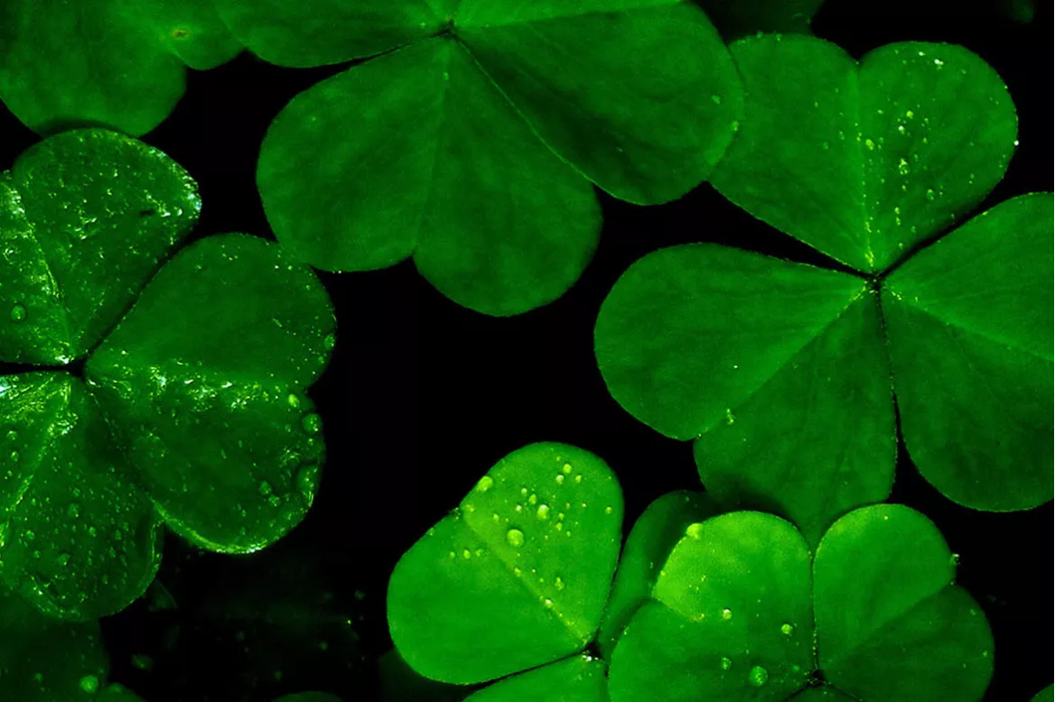 Châssis cadre zen Lucky