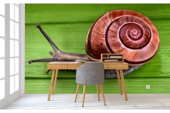 Papier peint premium Tony l'Escargot