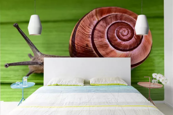 Papier peint moderne chambre Tony l'Escargot