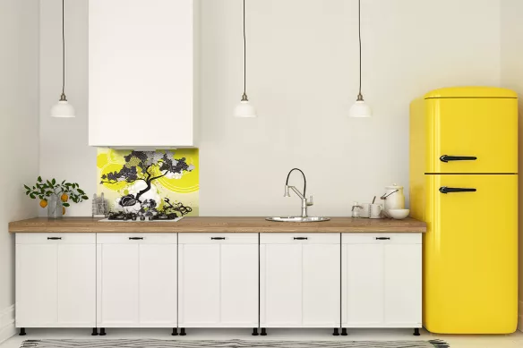 Fond de hotte cuisine originale Bankan