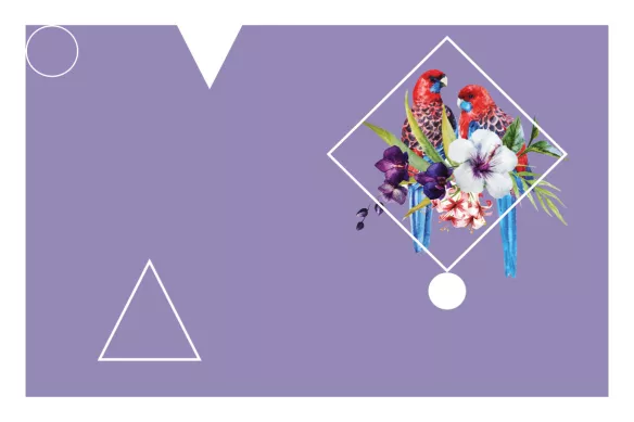 Tableau tendance Perroquet tropical violet