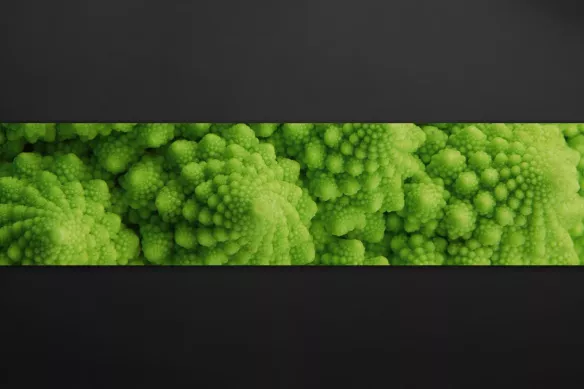 Crédence pour cuisine Brocoli