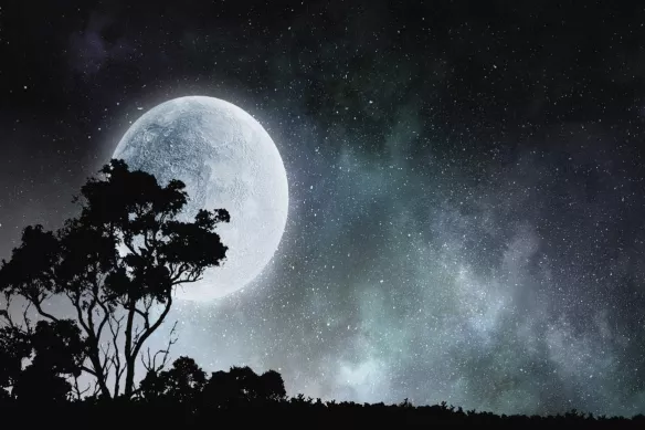 tableau sur chassis pleine lune serengeti