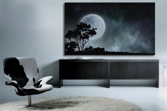 tableau impression sur toile pleine lune serengeti