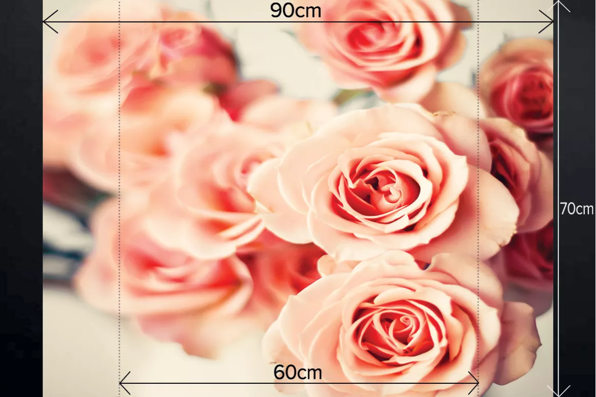 Fond de hotte murale Roses sauvages