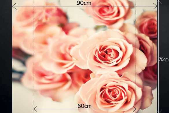 crédence-fond-de-hotte-cuisine-roses-sauvages