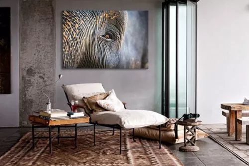 Toile éléphant asiatique