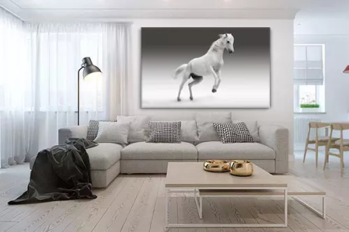 Tableau noir et blanc Saut de Cheval