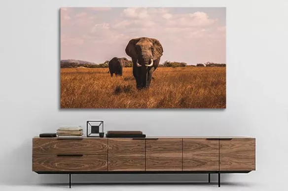 Toile éléphant dans la savane africaine
