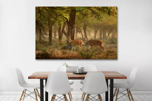Tableau cerfs en forêt