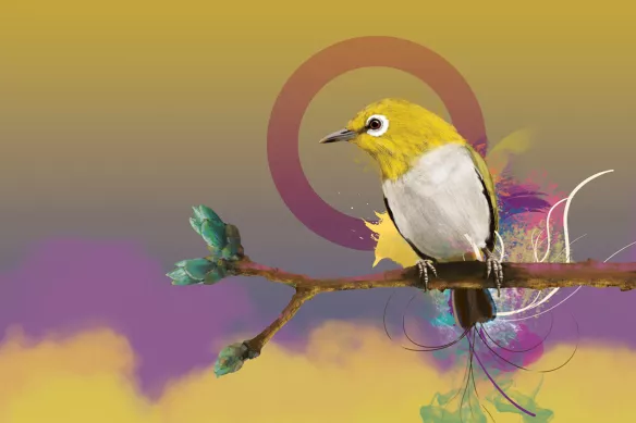 tableau sur toile oiseau quiet time jaune