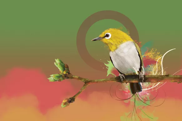toile murale oiseau quiet time vert