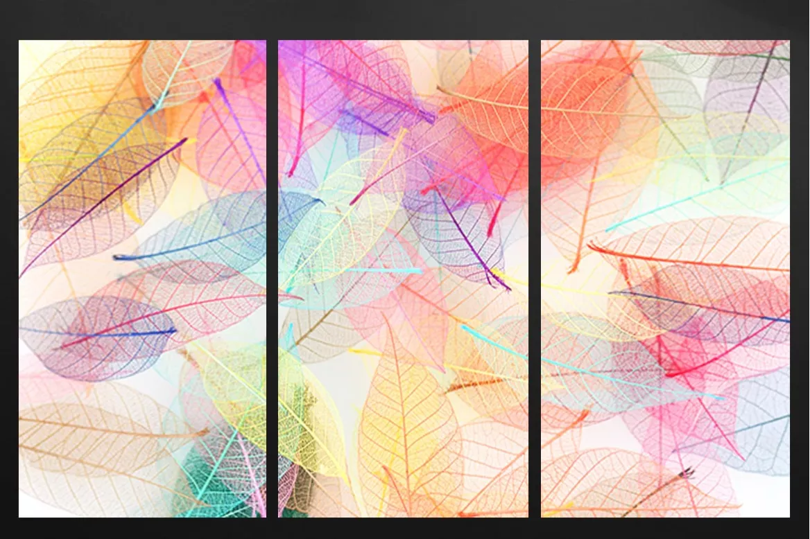 Toile triptyque folie colorée-