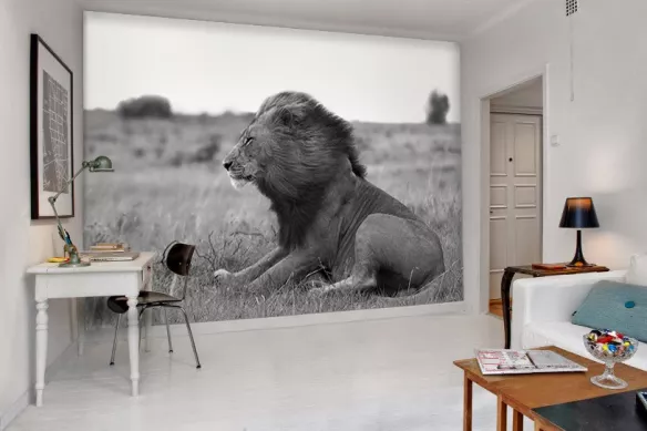 Poster Lion face au vent
