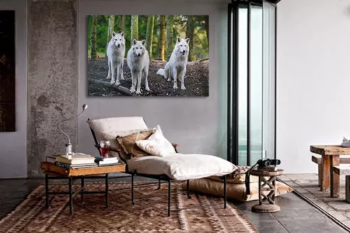 Toile imprimée Meute de loups