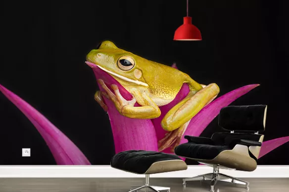 Poster xxl Grenouille sur fleur rose