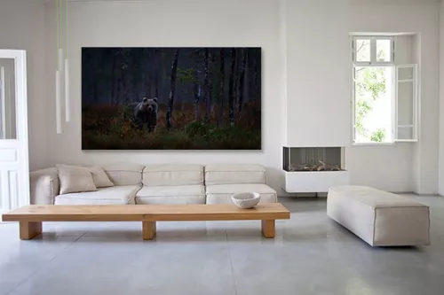 Tableau ours Grizzly